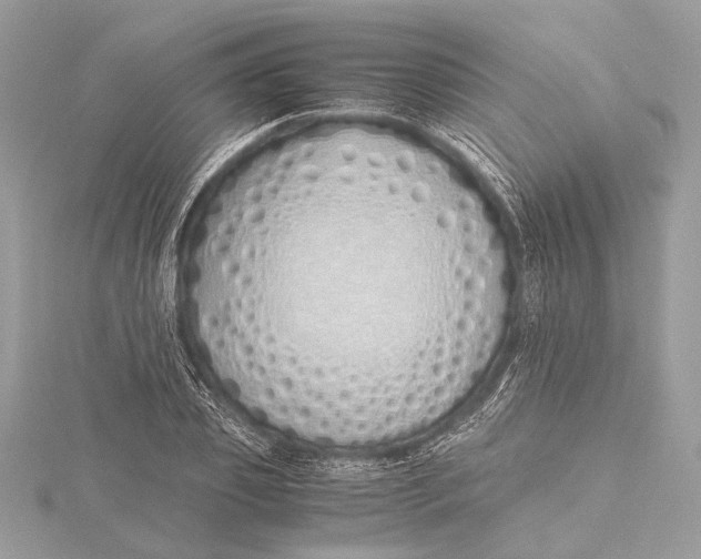 X0000115640933200912011458