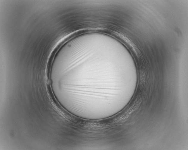 X0000115640935200912011458