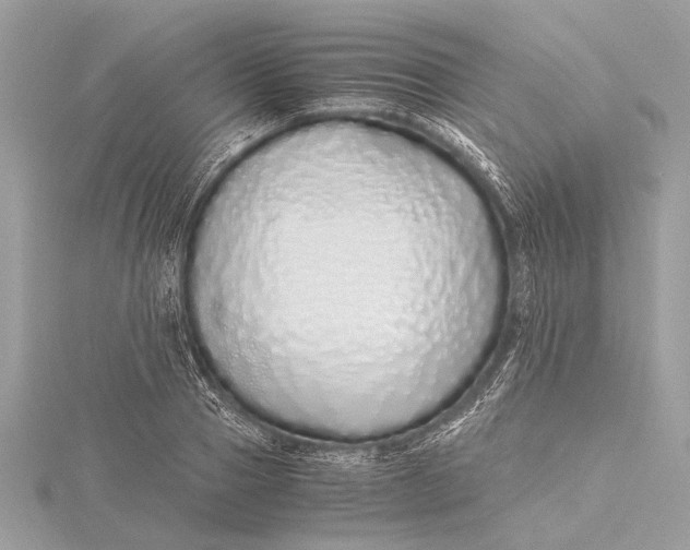 X0000115640937200912011458