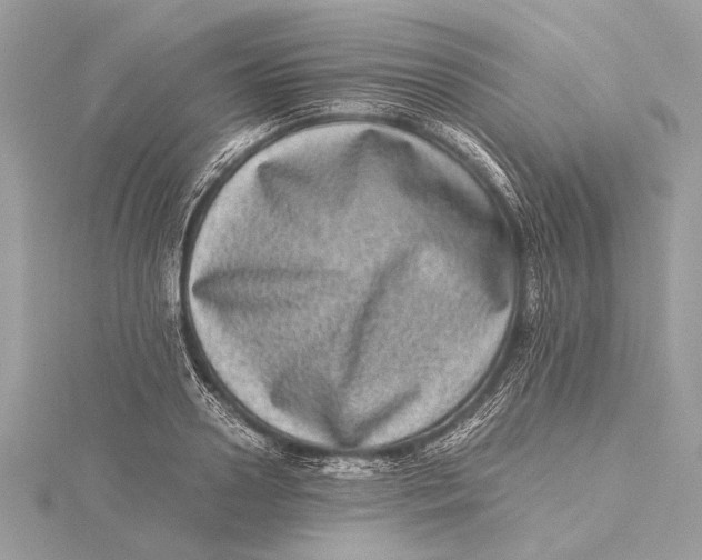 X0000115640938200912011458