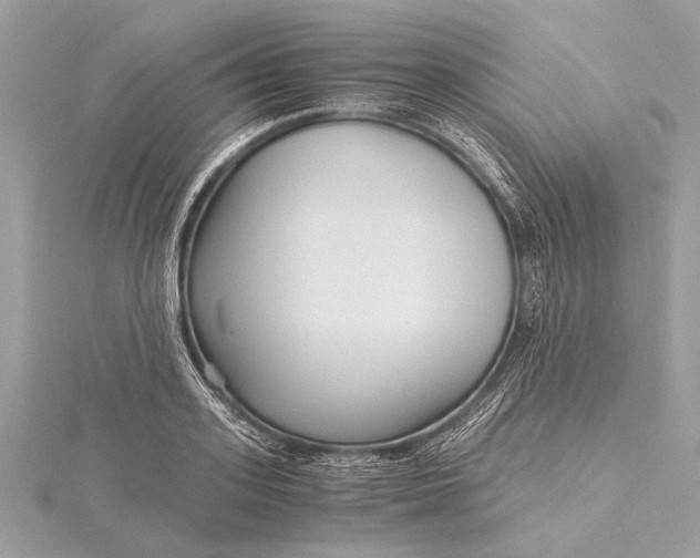 X0000115640939200912011458