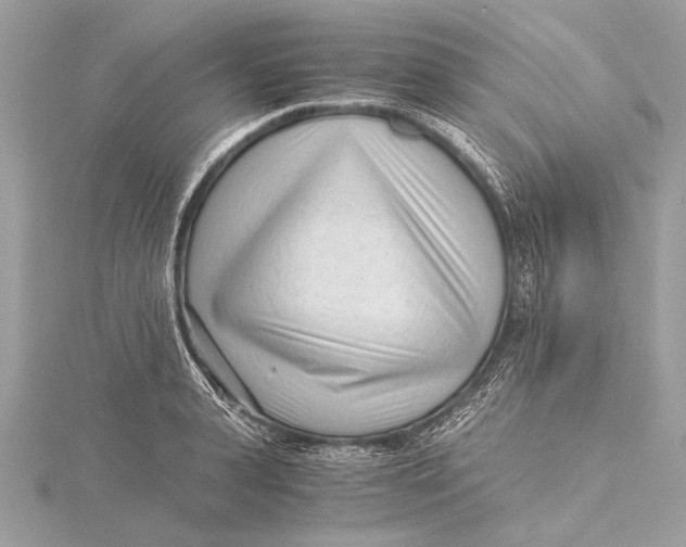 X0000115640943200912011458