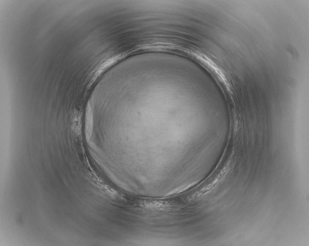 X0000115640945200912011458