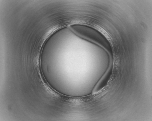 X0000115640946200912011458