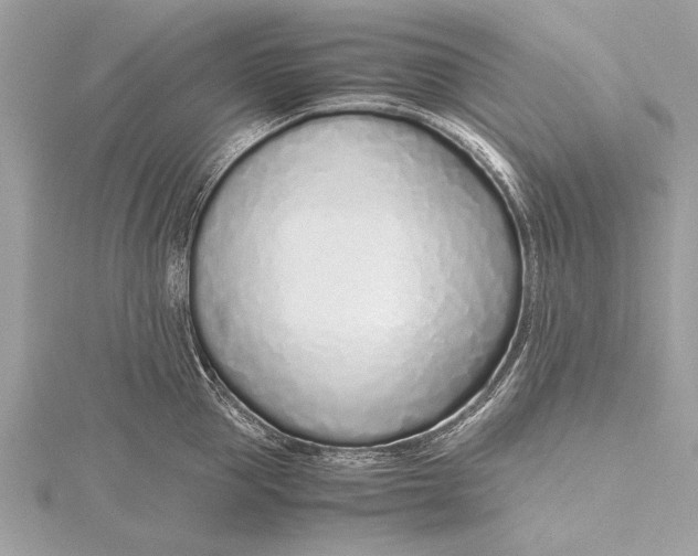 X0000115640953200912011458