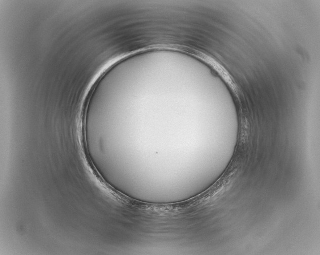 X0000115640955200912011458