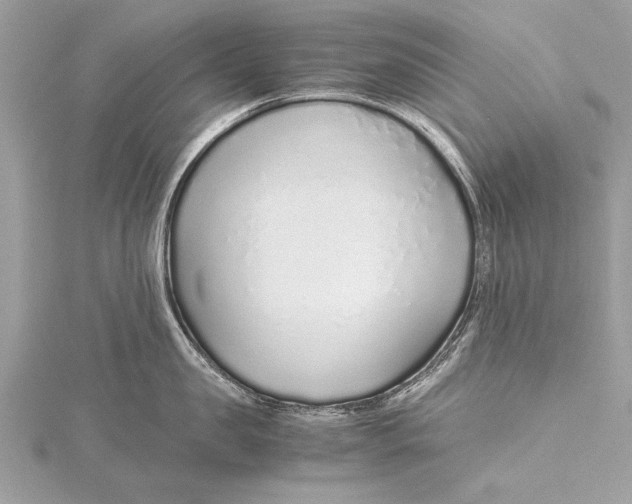 X0000115640957200912011458