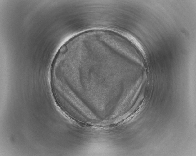 X0000115640958200912011458