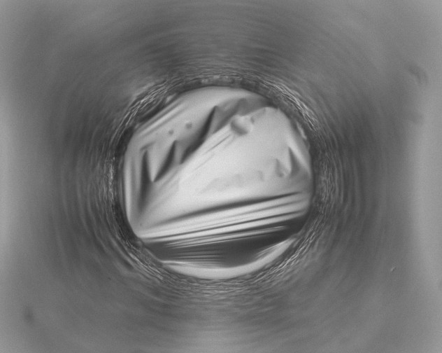 X0000115640964200912011458