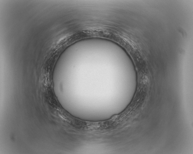 X0000115640965200912011458