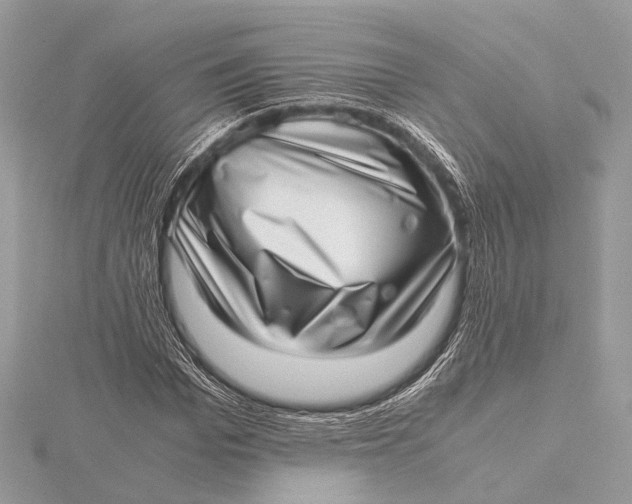 X0000115640969200912011457