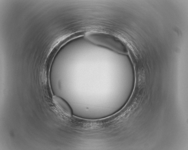 X0000115640973200912011457
