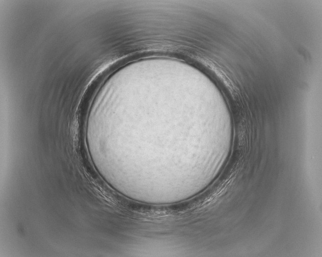 X0000115640975200912011457