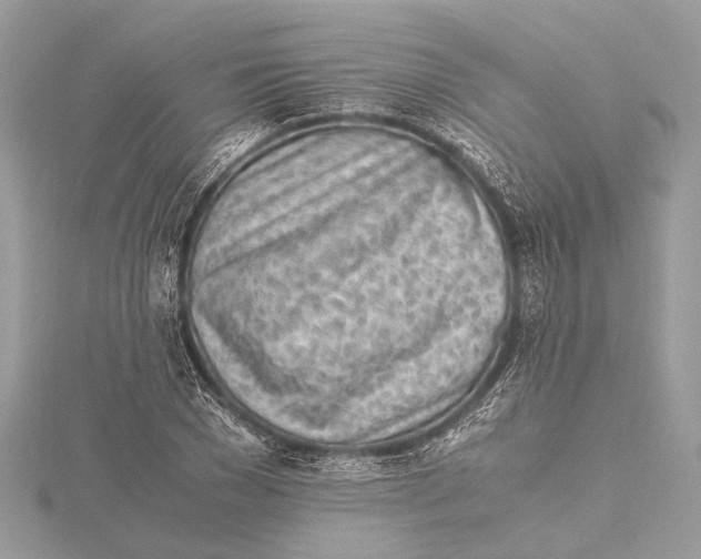 X0000115640977200912011457