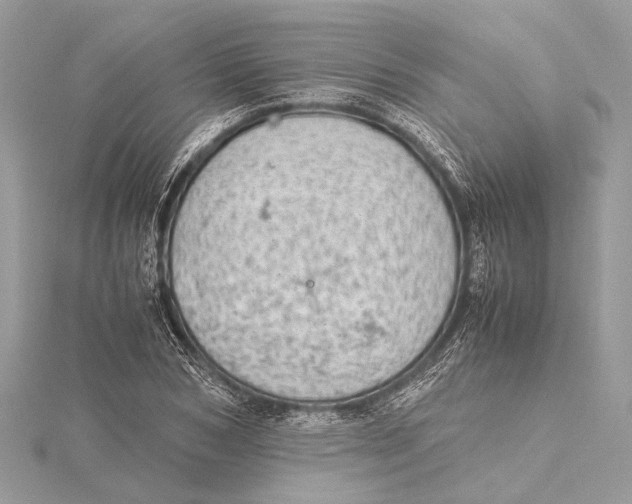 X0000115640978200912011457