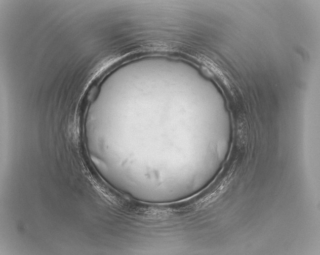 X0000115640981200912011457