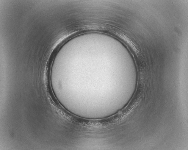 X0000115640983200912011457