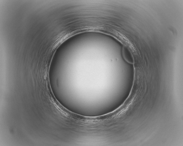 X0000115640985200912011457