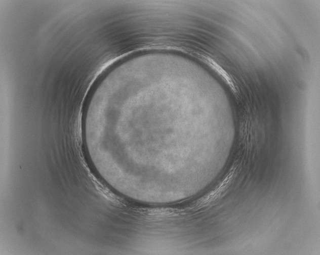X0000115640988200912011457
