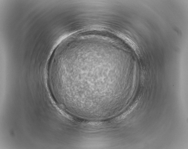 X0000115640989200912011457