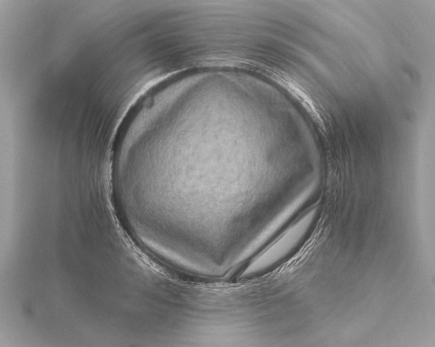 X0000115640992200912011457