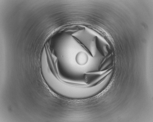 X0000115640993200912011457