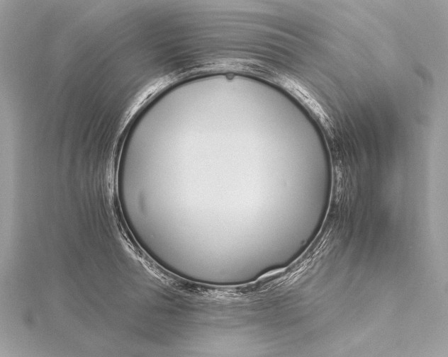X0000115640994200912011457
