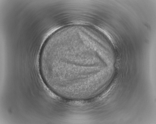 X0000115640995200912011457
