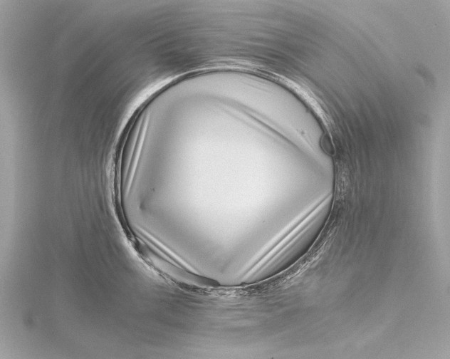 X0000115641003200912011457