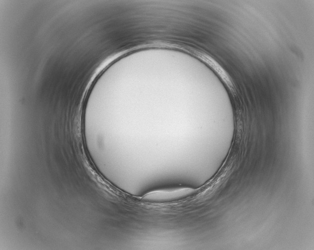 X0000115641004200912011457