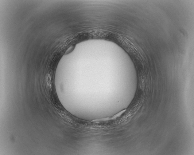 X0000115641010200912011456
