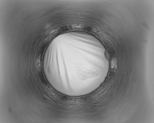 X0000115641011200912011456