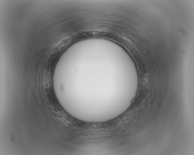 X0000115641014200912011456