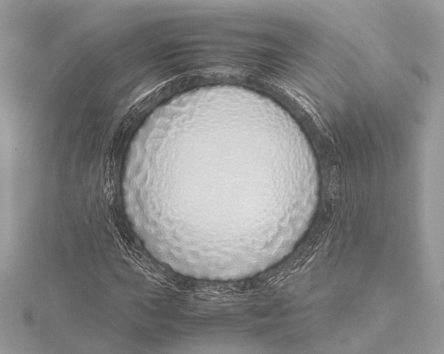 X0000115641015200912011456