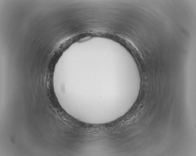 X0000115641016200912011456