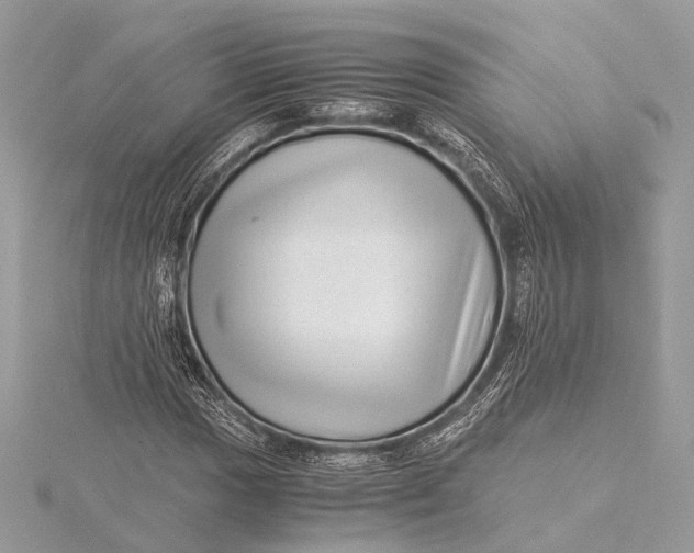 X0000115641017200912011456