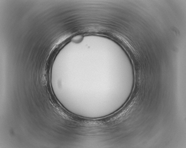 X0000115641018200912011456
