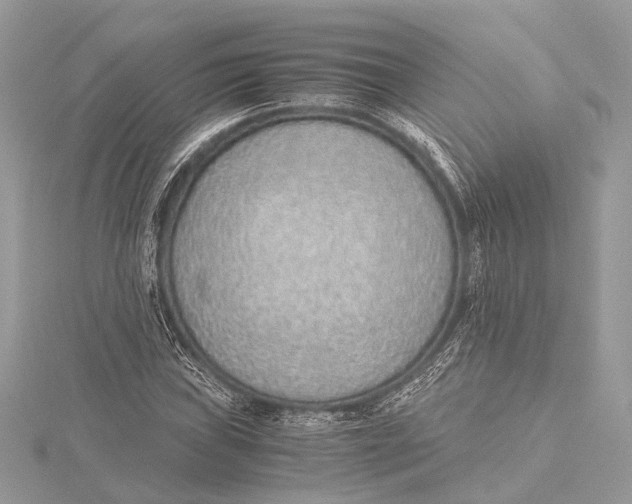 X0000115641019200912011457