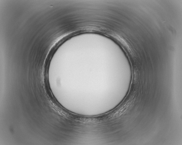 X0000115641020200912011457