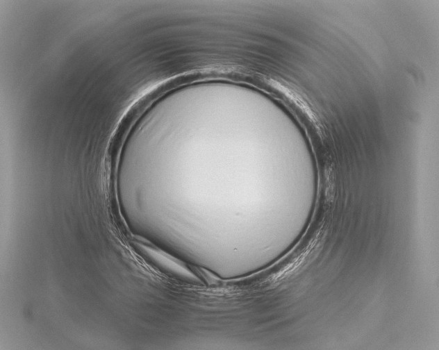 X0000115641021200912011457