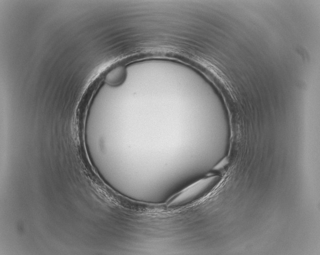 X0000115641022200912011457
