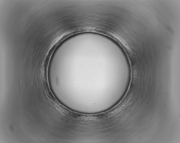 X0000115641023200912011457
