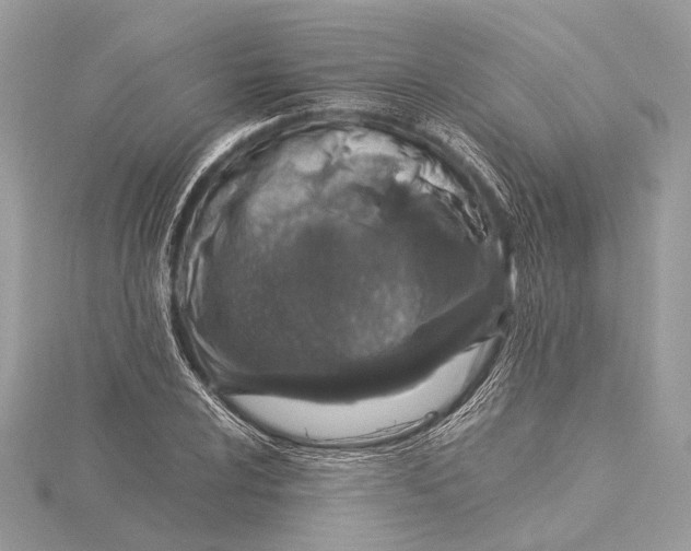 X0000115641024200912011457