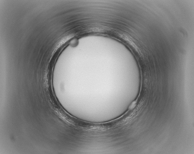 X0000115641026200912011457