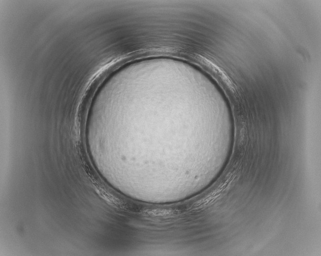 X0000115641027200912011457