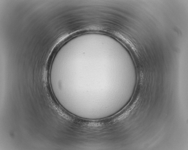 X0000115641029200912011457