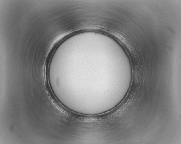 X0000115641030200912011457
