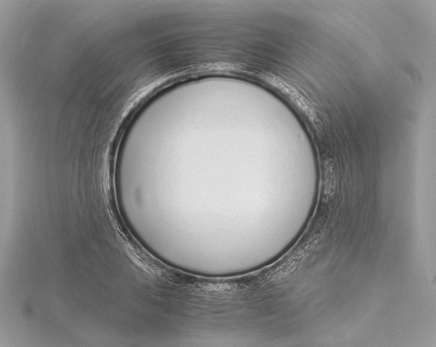 X0000115641031200912011457