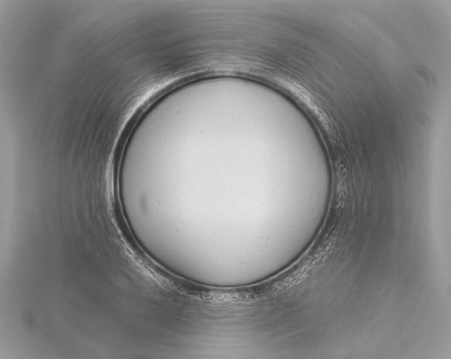 X0000115641032200912011457