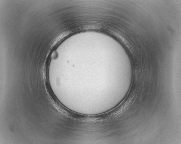 X0000115641034200912011457